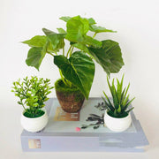 Artificial Green Plants Potted  Ornaments