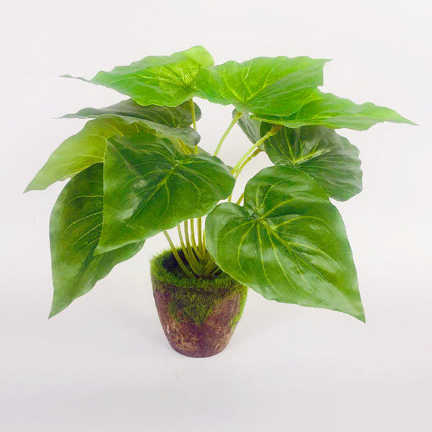 Artificial Green Plants Potted  Ornaments